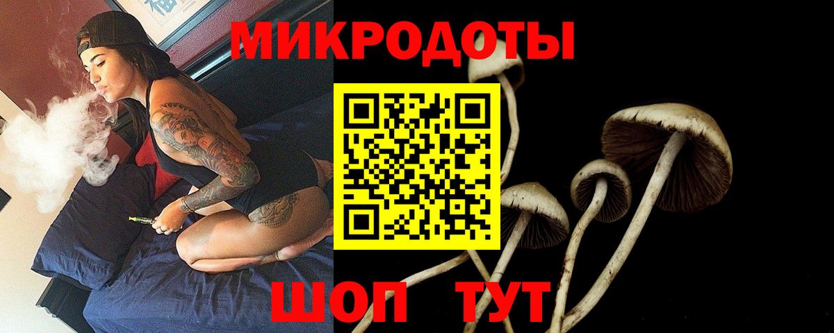 Псилоцибиновые грибы Magic Shrooms Каменск-Шахтинский